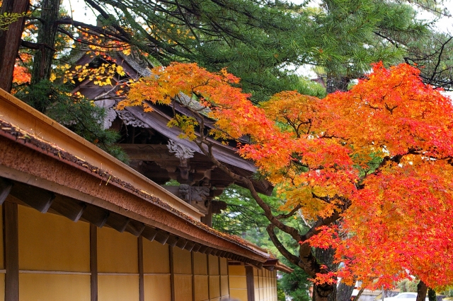 モデルハウス８棟見学会